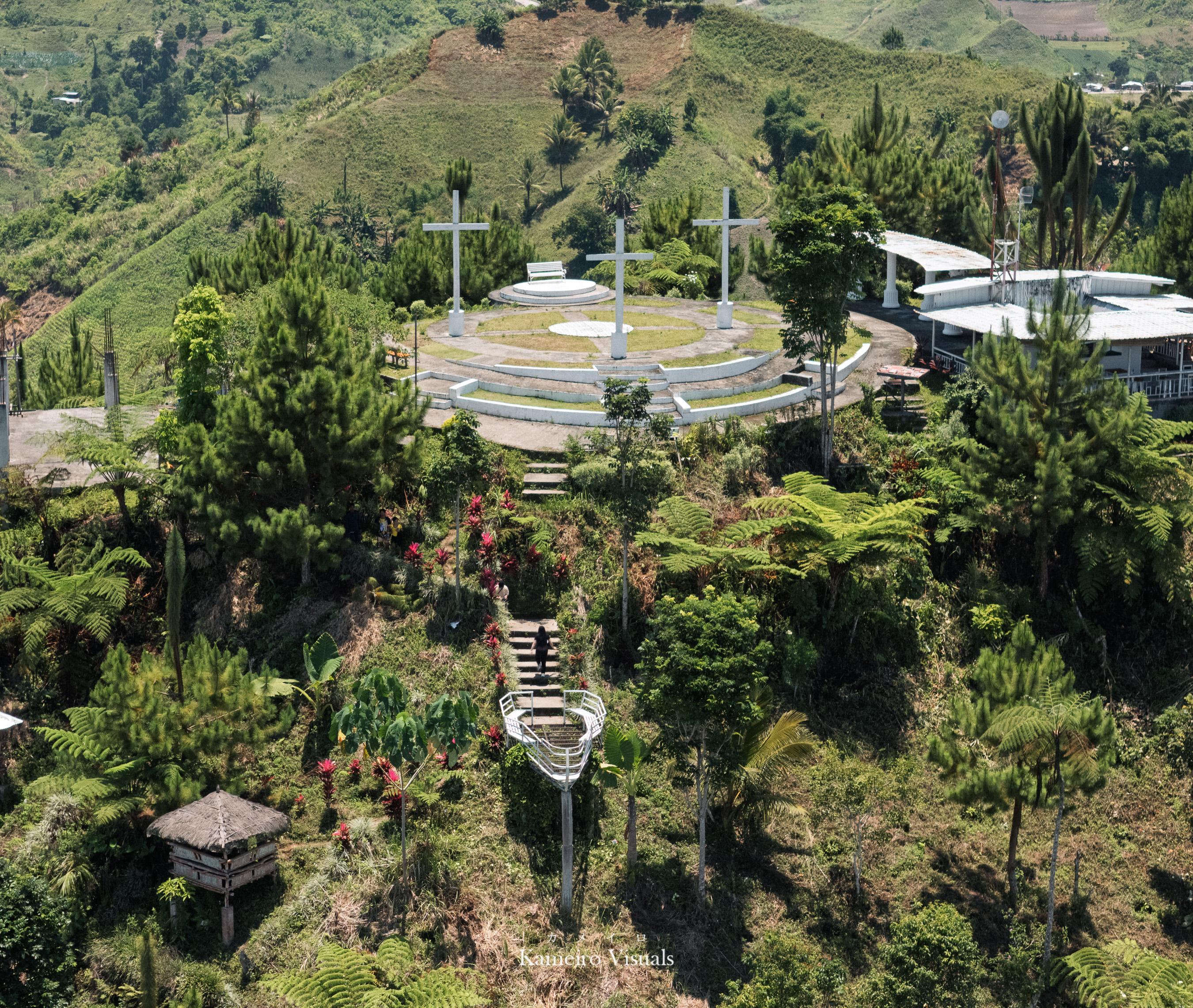 A green landscape and buildings viewed from above.