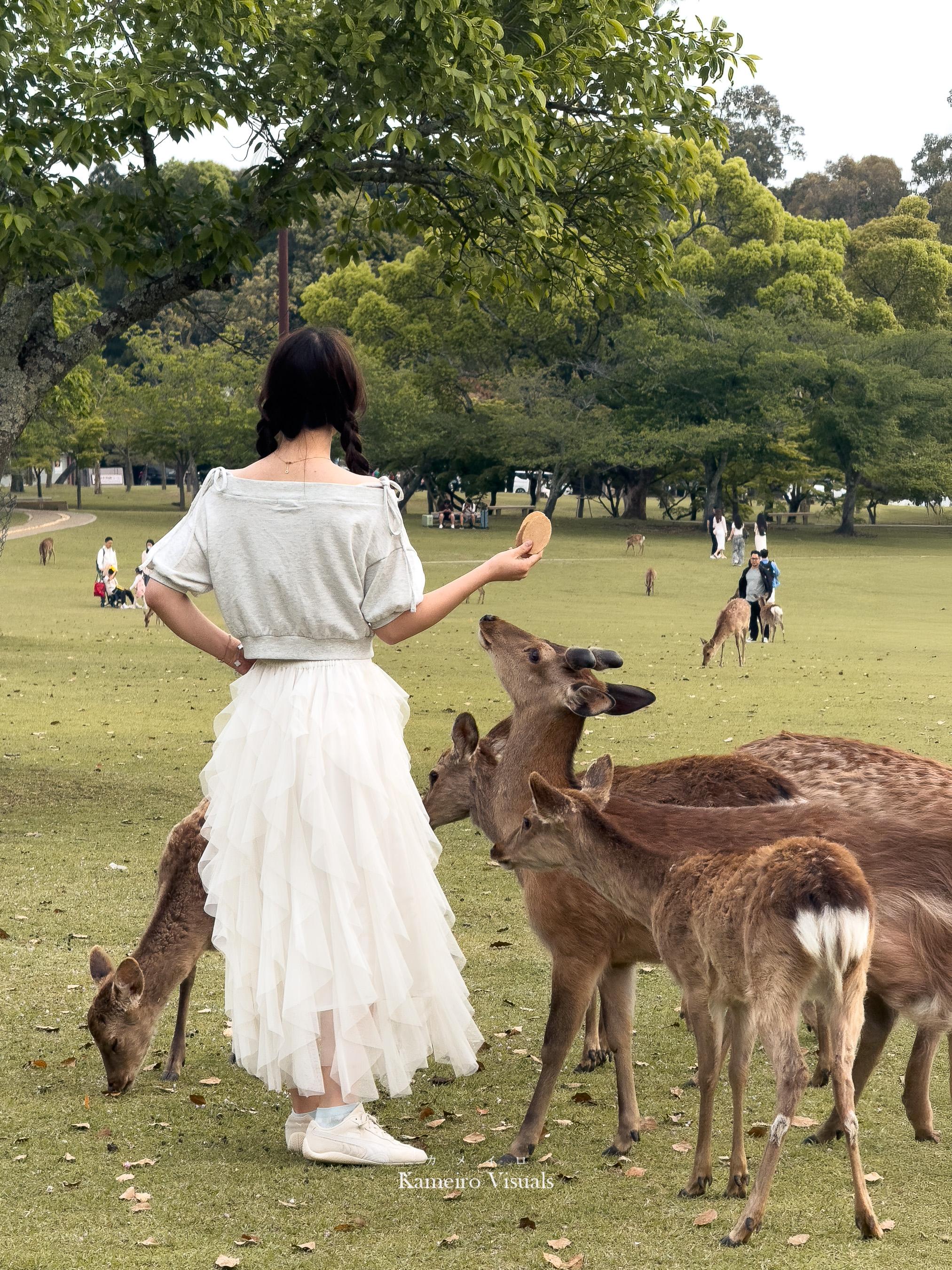 A person in a white outfit standing among deer in a green park.